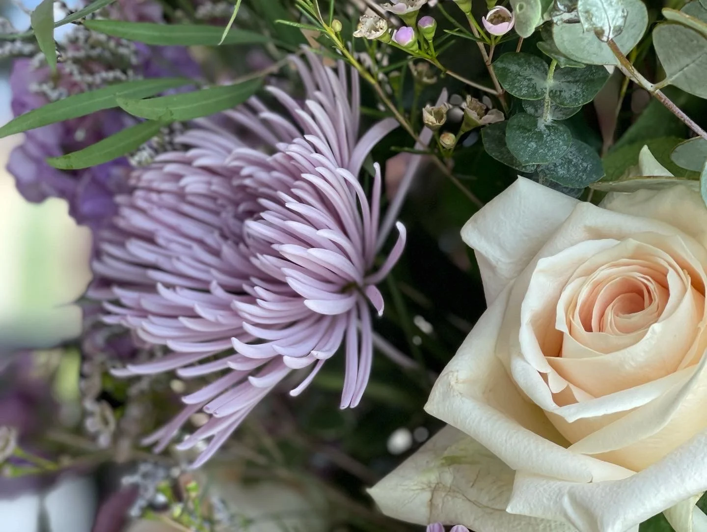 Close-up of pale purple and cream flowers with green leaves